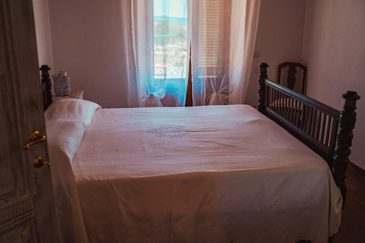 Agriturismo Montecrespini 萨杜勒尼亚 外观 照片