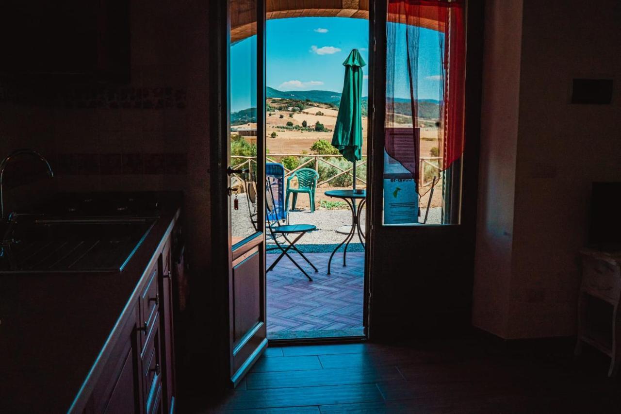 Agriturismo Montecrespini 萨杜勒尼亚 外观 照片
