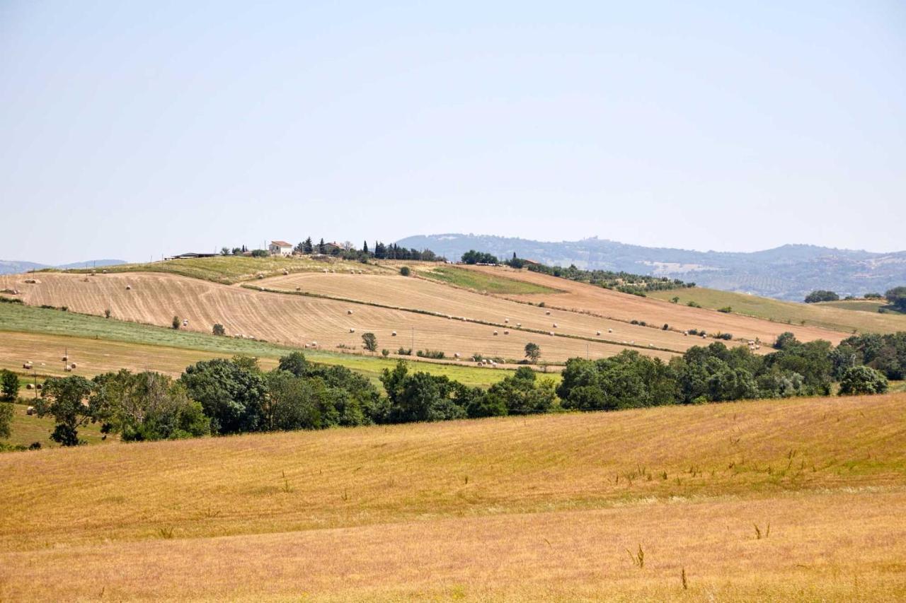 Agriturismo Montecrespini 萨杜勒尼亚 外观 照片