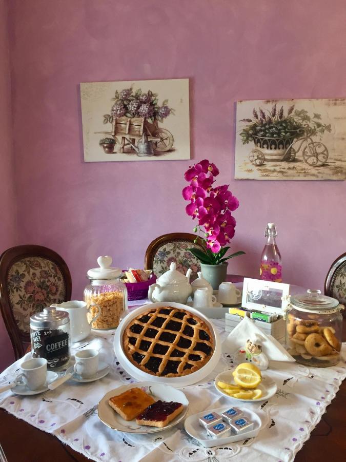 Agriturismo Montecrespini 萨杜勒尼亚 外观 照片